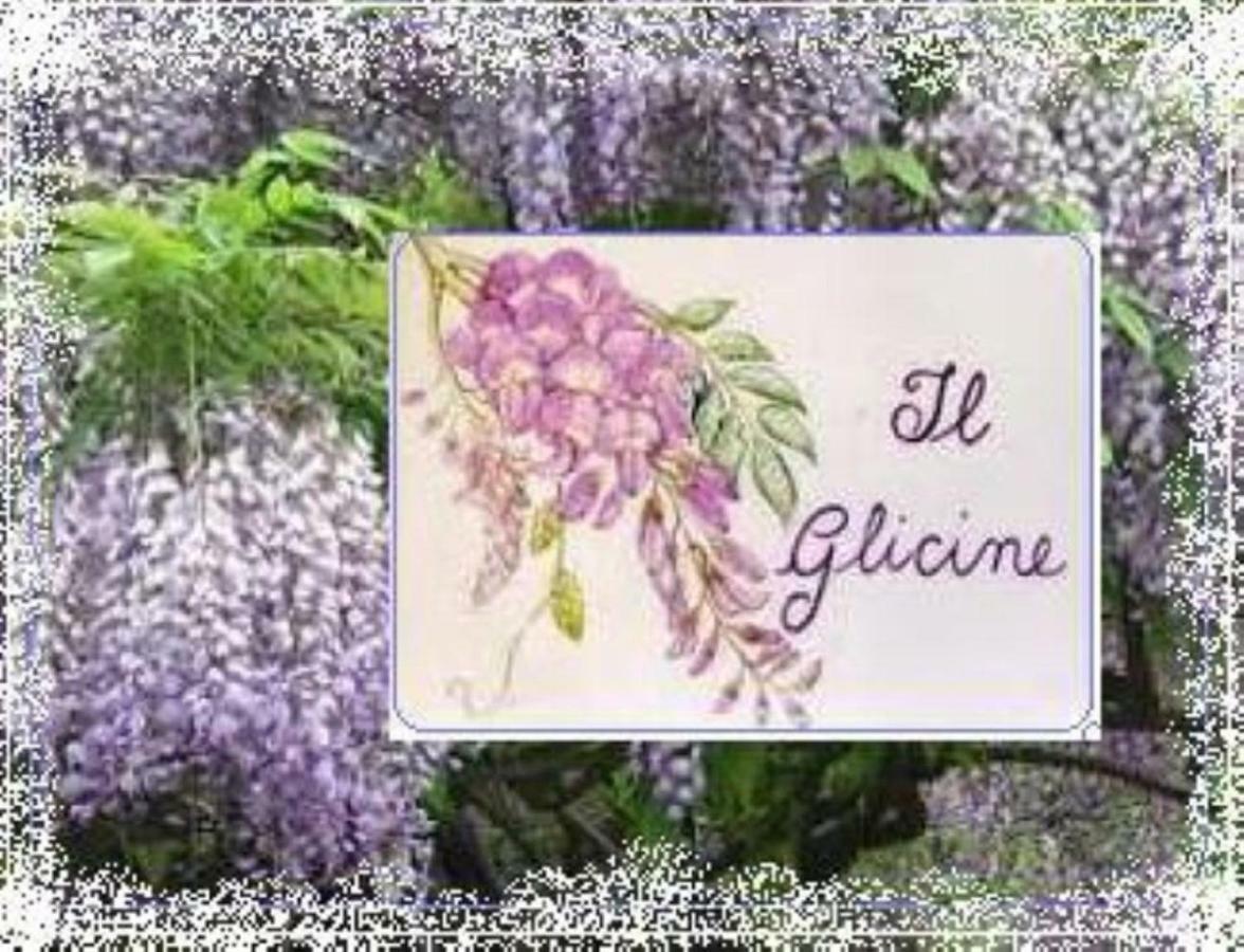 Il Glicine Di Lucca公寓 外观 照片